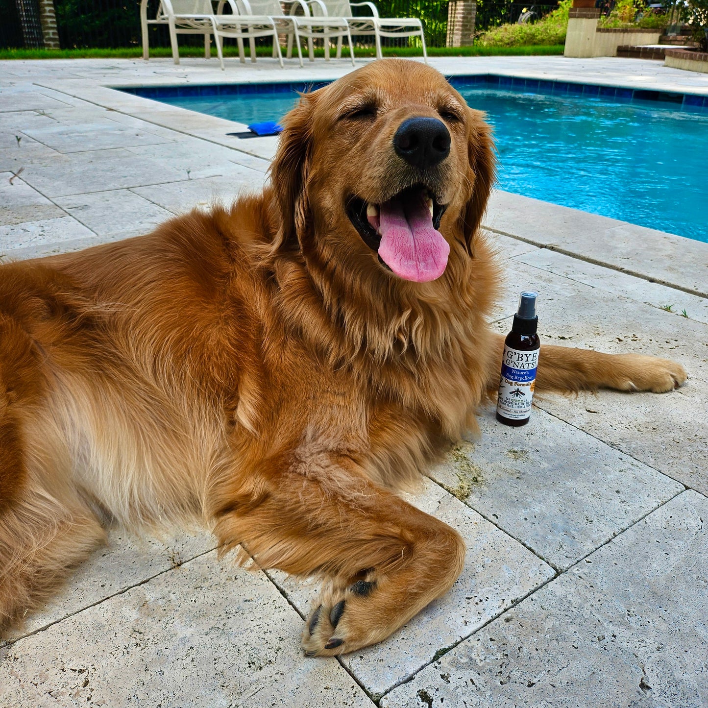 G'Bye G'Nats! Dog Formula Bug Repellent
