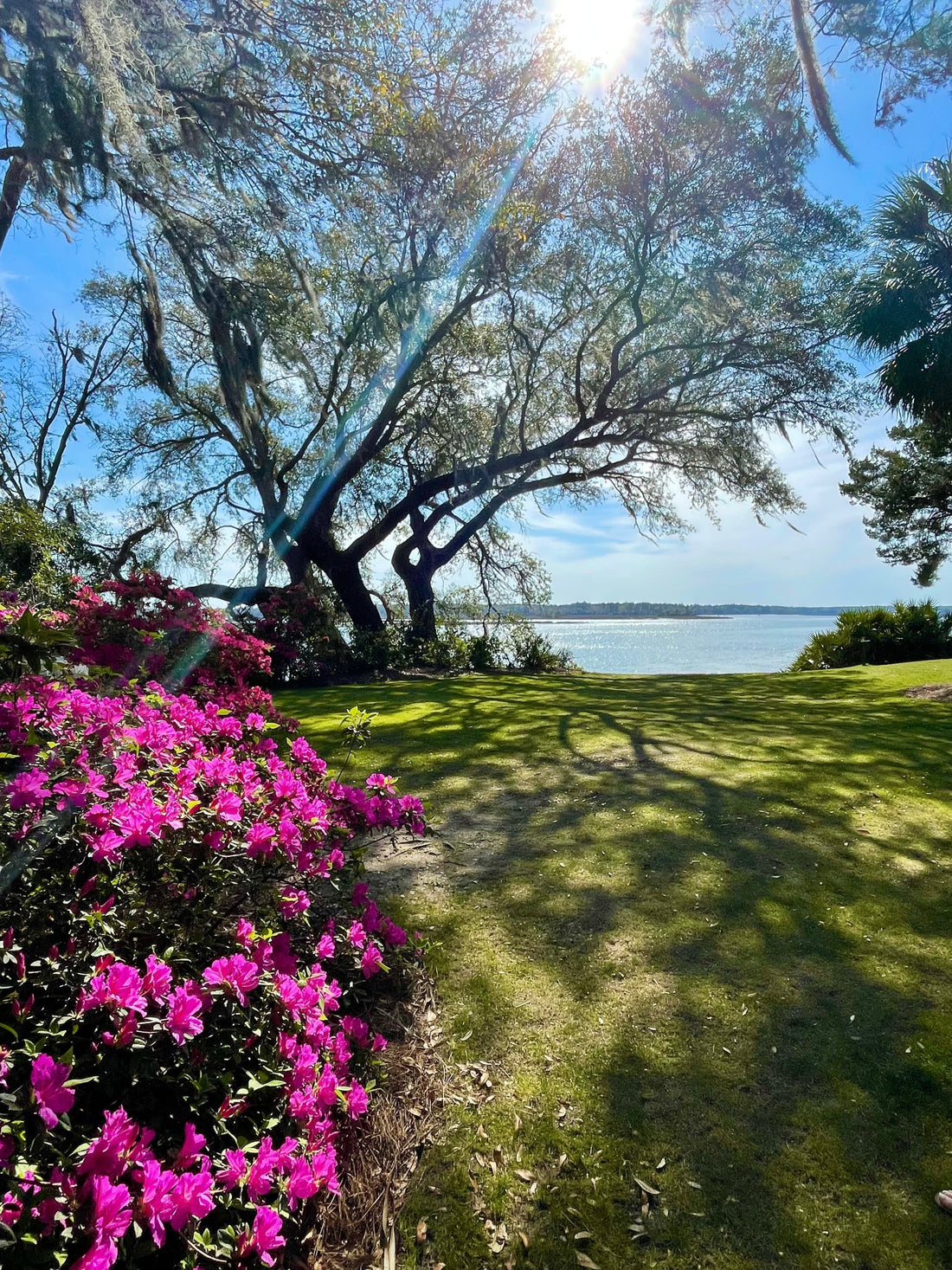 Bluffton ~ The best gem of South Carolina