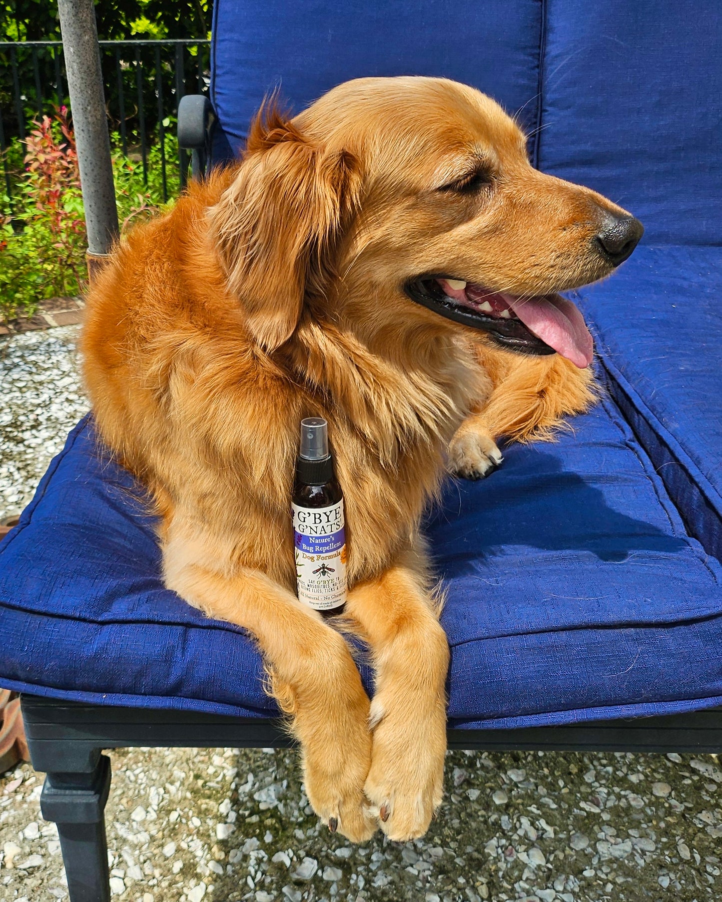 G'Bye G'Nats! Dog Formula Bug Repellent